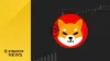 Binance Chấp Nhận Shiba Inu Làm Tài Sản Thế Chấp