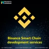Mobiloitte's Binance Smart Chain Development Services
