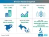 Biochar Market Forecast, Trend Analysis & Competition Tracking: Global Market Insights 2019 to 2029