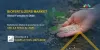 Biofertilizers Market Key Players, Opportunities, Revenue Growth | MarketsandMarkets
