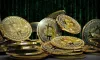 Understanding How you Can Find the Most Suitable Crypto Exchange