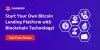 A New Peer-to-Peer Bitcoin Lending Script with Blockchain Technology