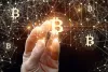 How To Find Lost With The Use Of Bitcoin Trace - The Daily America