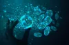 The Current State and Future of Bitcoin