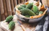 Bitter Melon Extract Manufacturers