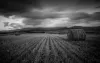 4 Simple Black And White Photography Techniques - Postesy