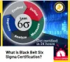 What is Black Belt Six Sigma Certification? - Amile Institute USA