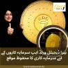 ہیرا ڈیجیٹل ورلڈ ایپ - سرمایہ کاری کا  محفوظ موقع - Sona News