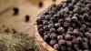 Simple best spices want to use in curry recipes