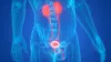 symptoms of bladder infection