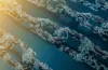 Which are the most common issues for Blockchain scalability adoption?