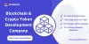 Blockchain and Crypto Token Development Company