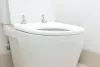 Hire Professionals for Your Blocked Toilet in Barnet