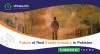Future of Real Estate Industry in Pakistan - Sirmaya.com