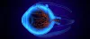 Stem cell therapy for Retinitis pigmentosa with Eye Stem Cell Center - Eye Stem Cell Center