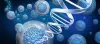 Treatment of Optic Atrophy with Stem Cell at Eye Stem Cell Center India