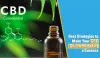 Best Strategies to Make Your CBD Online Marketing a Success