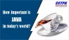Why is Java Important in today's world?