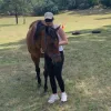 How the Acceptance of a Horse can Help us Feel Safe and Trusted - HEAL