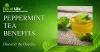 Discover the Power of Peppermint Tea Health Benefits Unveiled