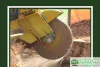 What Everyone Should Know About Stump Grinding
