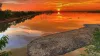 Embark On An Excursion Into Nature's Strange Wonderland With A Sundarban Tour