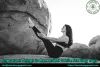 Important Things to Remember While Starting Yoga
