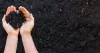 Benefits of using vermicompost