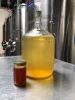 What is Melomel |Steps to make Melomel” Mead