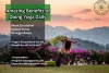 Amazing Benefits of Doing Yoga Daily 