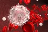 Top 10 best blood, brain, lung cancer specialist in india
