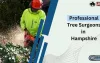 Why is Stump Grinding Important For a Healthy Garden?