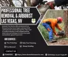 Tree Trimming Las Vegas
