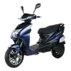 Electric Scooter with Removable Battery