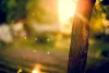 Blur background hd Background Pictures Download Free Images