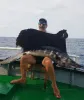 Boat -