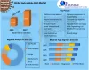 Global Body in White (BIW) Market Analysis by Opportunities, Size, Share, Future Scope, Revenue and Forecast 2027