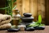 LS Spa body to body massage in delhi | Female to Male Body Massage in delhi