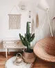 Cactus guidebook: Types, care tips &amp; 15+ decor ideas (Buy now!) | Building and Interiors