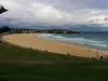 Bondi Beach - World's Exotic Beaches