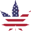 Important Considerations to Make When Buying Gravity Bongs on Amazon