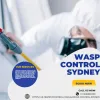 Wasp Control Sydney