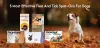 5 Most Effective Flea and Tick Spot-Ons for Dogs in 2022 | BudgetPetCare.com