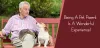 Being A Pet Parent Is A Wonderful Experience!