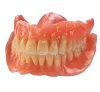 BPS - Biofunctional Prosthetic System; advance dental export