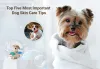 Top Five Most Important Dog Skin Care Tips