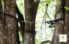 Repairing Your Lawn After Tree Removal – 8 Easy Ways
