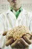 Brain Injury Lawyer Perth 