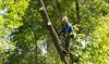 branch_2.jpg