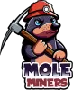 Yard Mole Removal Nashville, TN | Mole &amp; Vole Exterminators